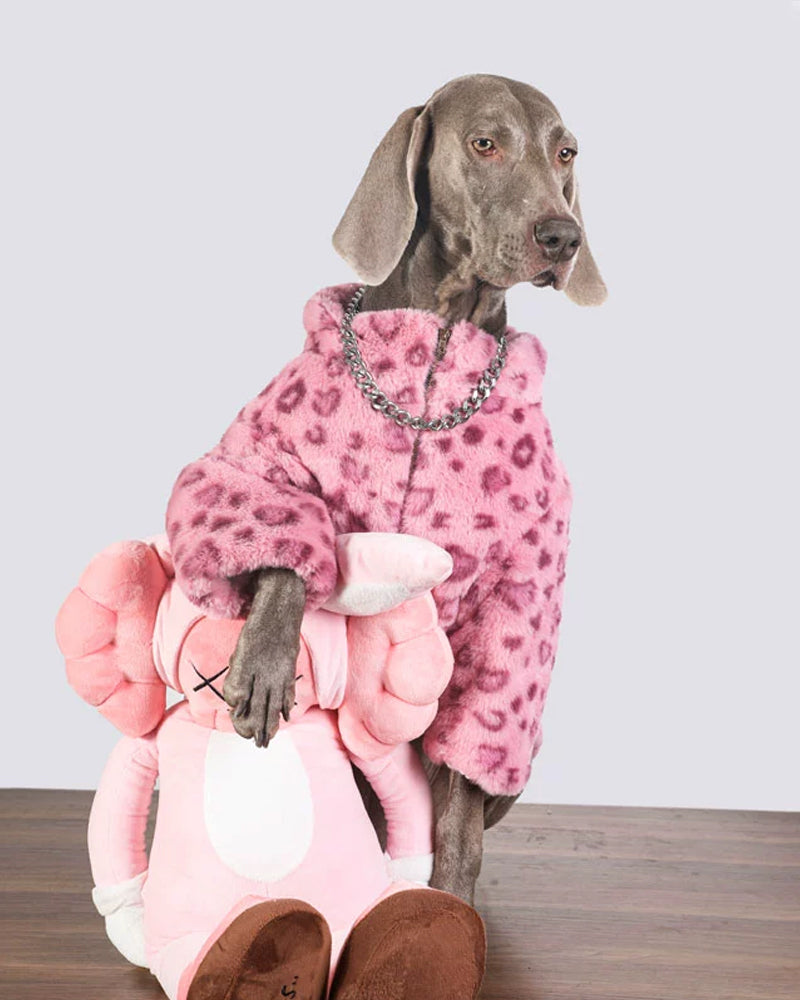 Rap Pink-Dog Warm Clothes