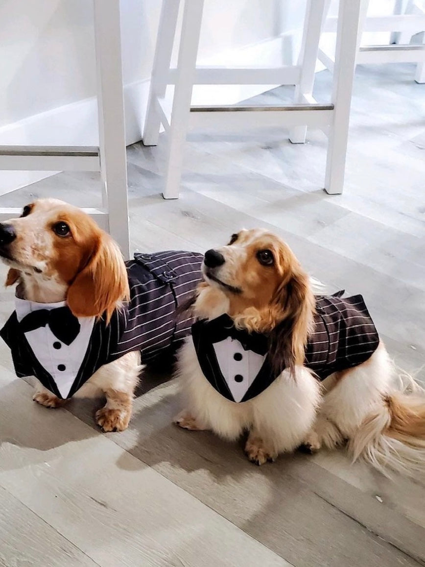 Wedding Dogs Tuxedo Set