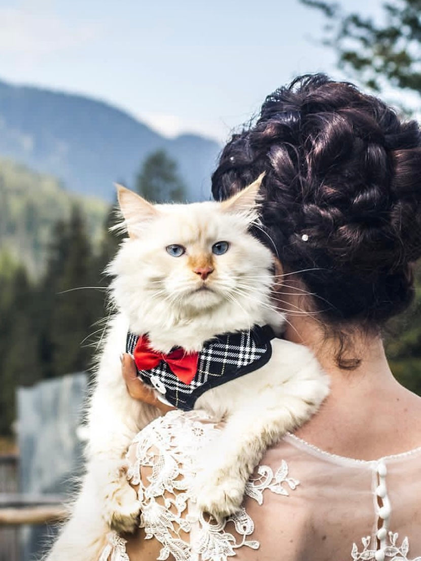 Wedding Pet Cat Chest Strap Vest