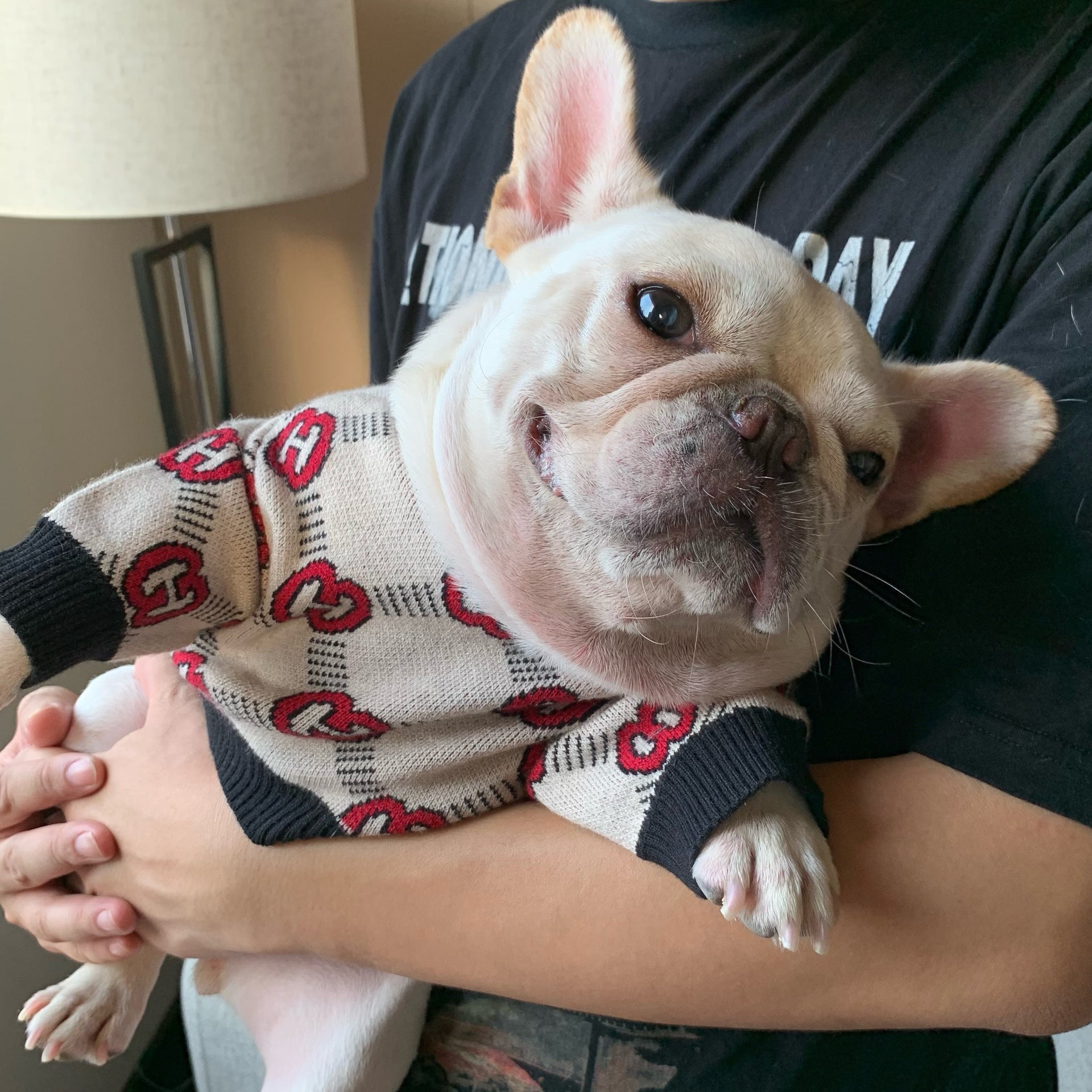 Vintage-Inspired French Bulldog Sweater dog cloth